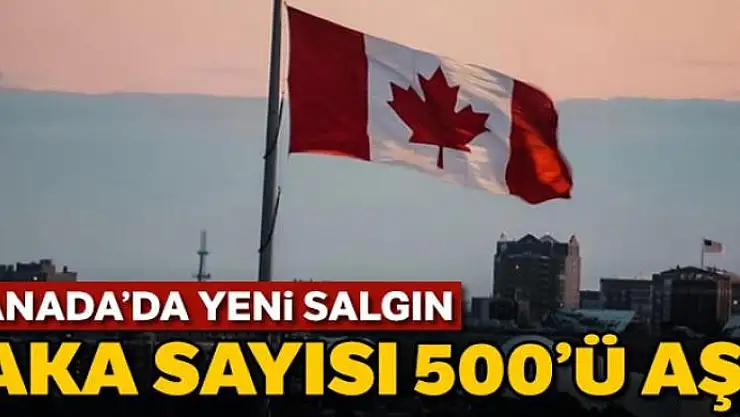 Kanada'da yeni salgın: Vaka sayısı 500'ü geçti