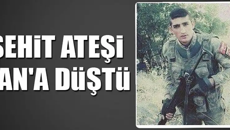 Şehit ateşi Van'a düştü