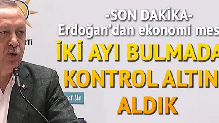 Cumhurbaşkanı Erdoğan'dan önemli açıklamalar