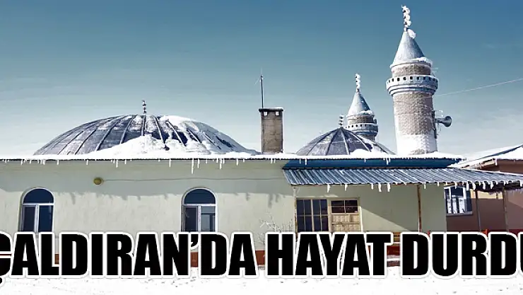 Çaldıran'da hayat durdu