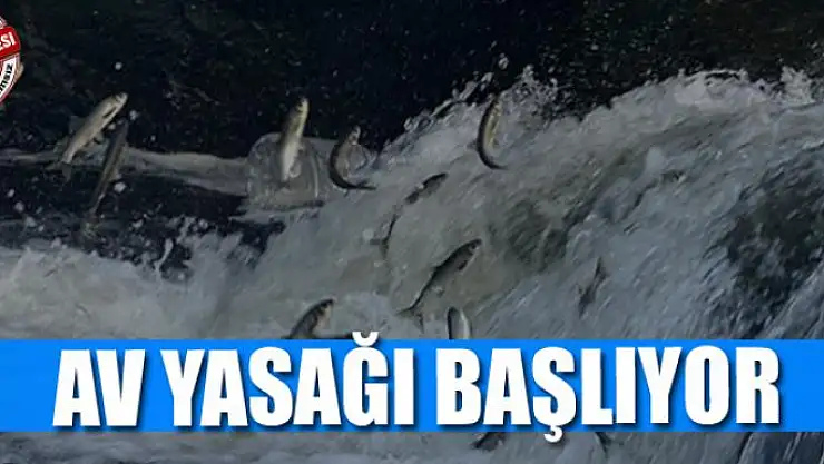 Av yasağı başlıyor