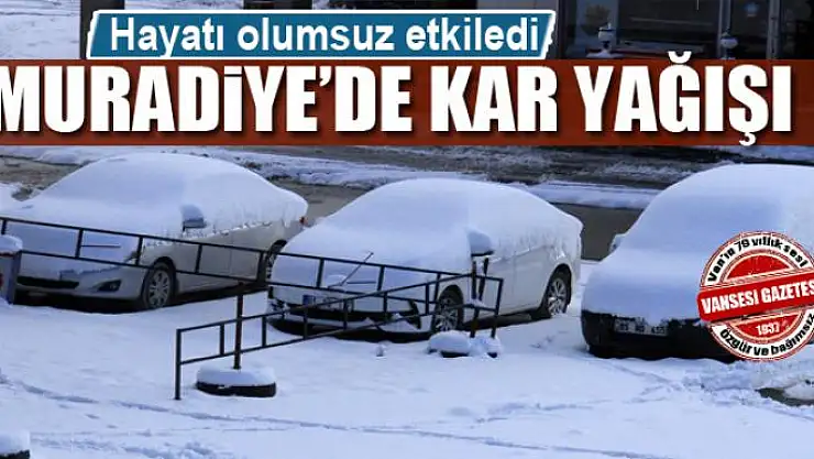 Muradiye'de kar yağışı