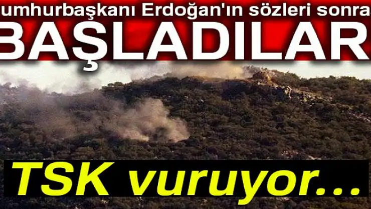 TSK, Afrin'deki mevzileri obüslerle vuruyor