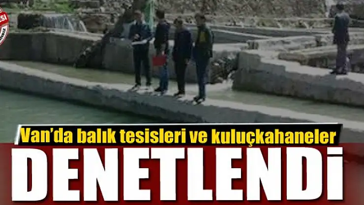 Van'da balık tesisleri ve kuluçkahane denetimleri
