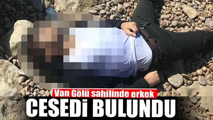 Van Gölü sahilinde erkek cesedi bulundu 