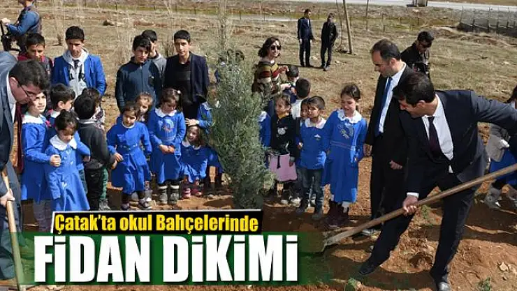 Çatak'ta fidan dikimi 