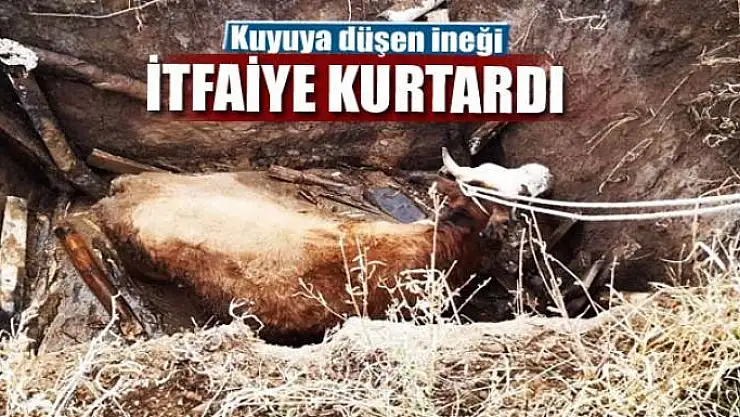 Kuyuya düşen ineği itfaiye kurtardı