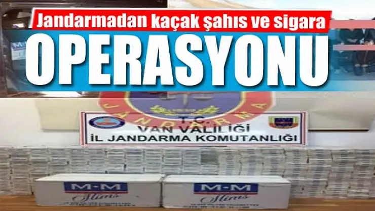 Jandarmadan kaçak şahıs ve sigara operasyonu