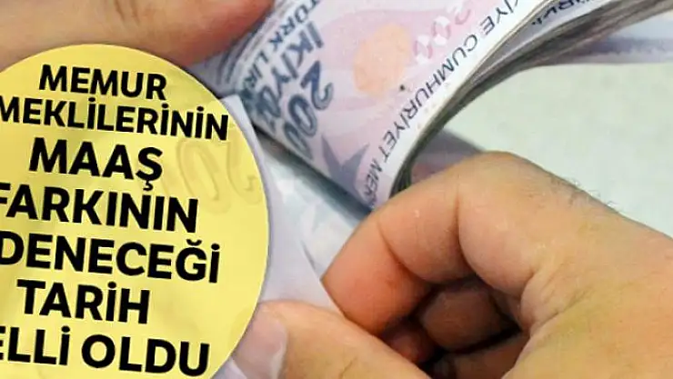 Bakan Selçuk: 'Emeklilerimize maaş farklarını 25 Temmuz'da ödeyeceğiz'