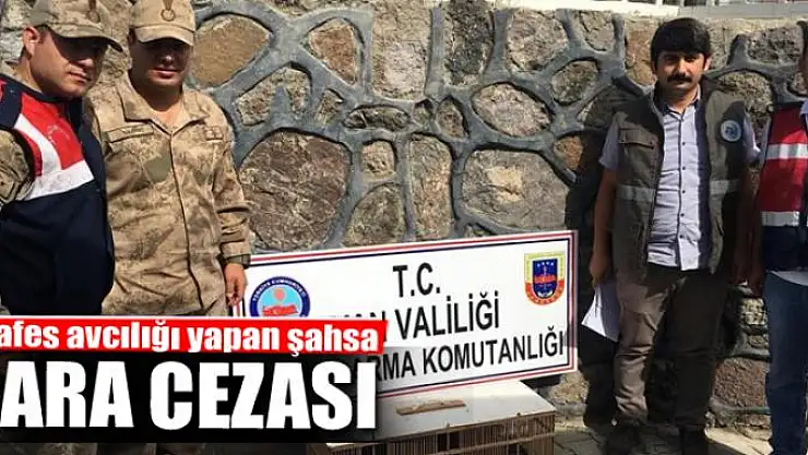 Kafes avcılığı yapan şahsa para cezası