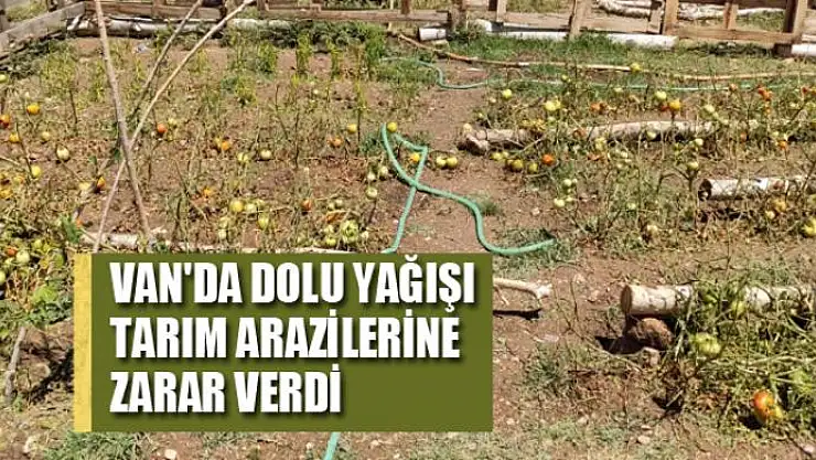 Van'da dolu yağışı tarım arazilerine zarar verdi
