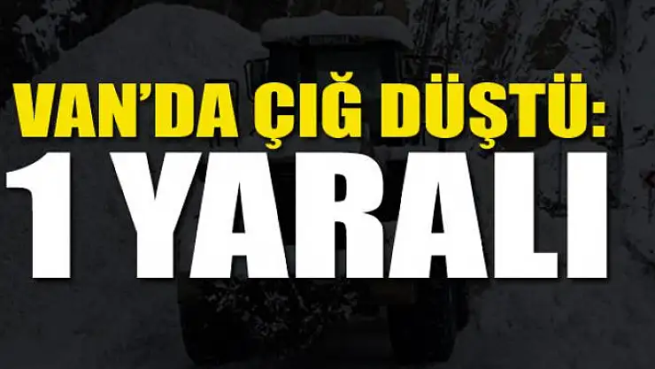 Van'da çığ düştü