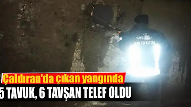 Çaldıran'da çıkan yangında 25 tavuk, 6 tavşan telef oldu