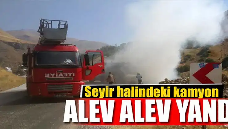 Seyir halindeki kamyon alev alev yandı