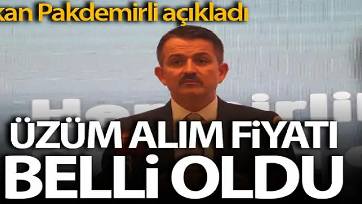 Bakan Bekir Pakdemirli, yeni sezon üzüm alım fiyatını açıkladı