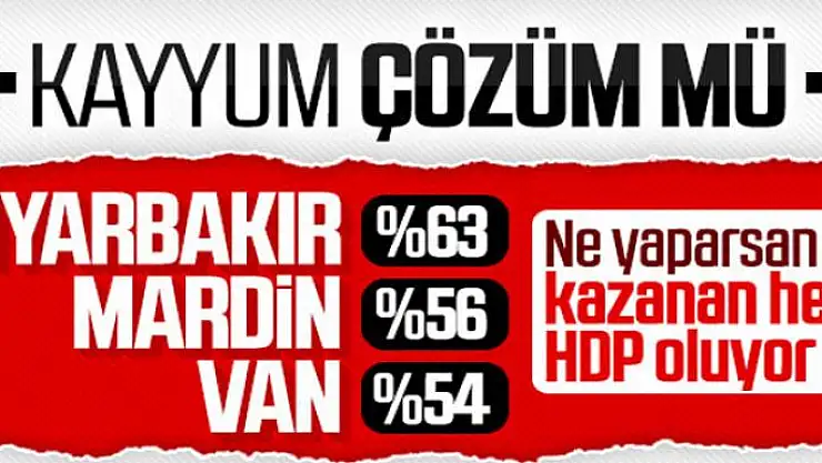 Kayyumun hizmetlerine rağmen yine HDP seçildi