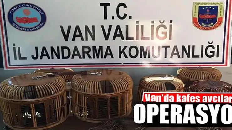 Van'da kafes avcılarına operasyon