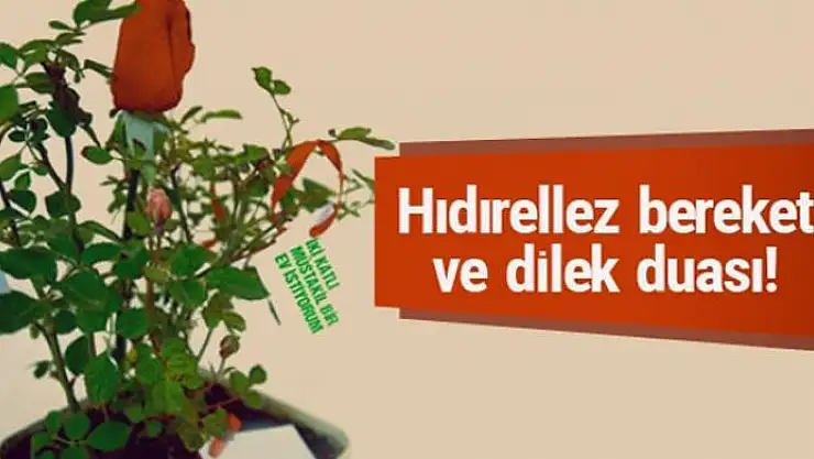 Hıdırellezde gül ağacı yoksa ne yapılır dilek duası nasıl?
