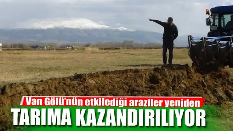 Van Gölü'nün etkilediği araziler yeniden tarıma kazandırılıyor