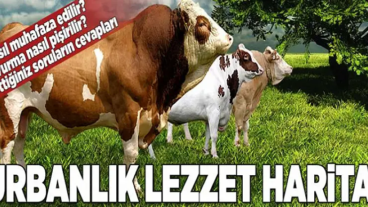 Kurban lezzet haritası! Dana ve koyunların et bölgeleri  