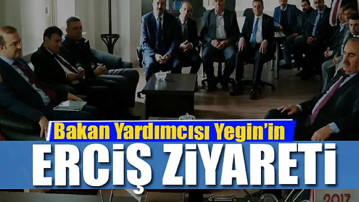 Bakan Yardımcısı Yegin'in Erciş ziyareti