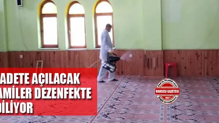 İbadete açılacak camiler dezenfekte ediliyor