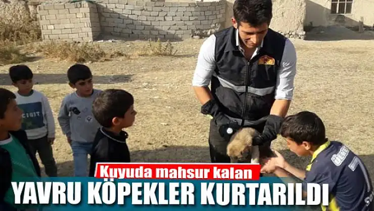 Kuyuda mahsur kalan yavru köpekler kurtarıldı