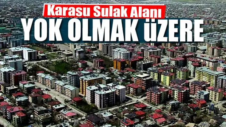 Aslan: 'Karasu Sulak Alanı yok olmak üzere' 