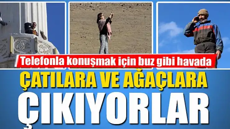 Telefonla konuşmak için buz gibi havada çatılara ve ağaçlara çıkıyorlar 