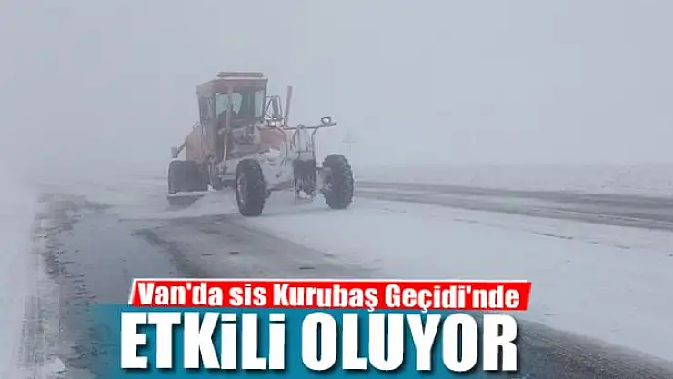 Van'da sis Kurubaş Geçidi'nde etkili oluyor