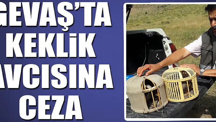 Gevaş ilçesinde keklik avcısına ceza