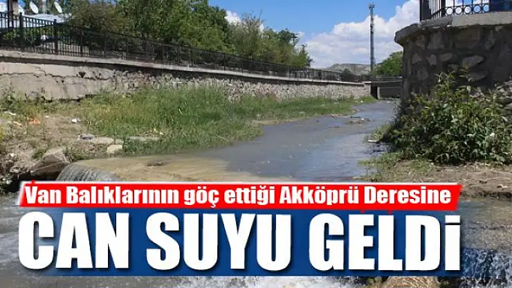 Akköprü Deresine can suyu verildi
