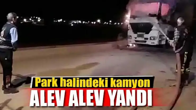 Park halindeki kamyon alev alev yandı