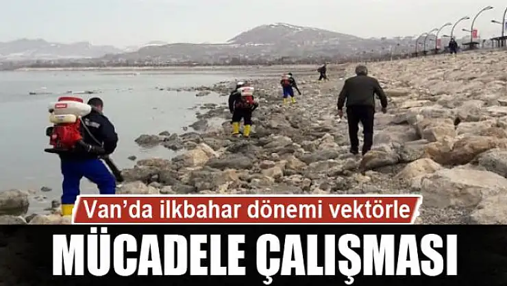 Van'da ilkbahar dönemi vektörle mücadele çalışması