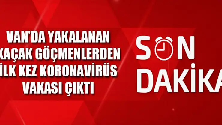 Van'da yakalanan kaçak göçmenlerden ilk kez koronavirüs vakası çıktı
