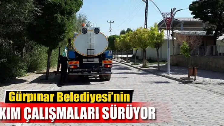 Gürpınar'da ağaç bakım çalışması