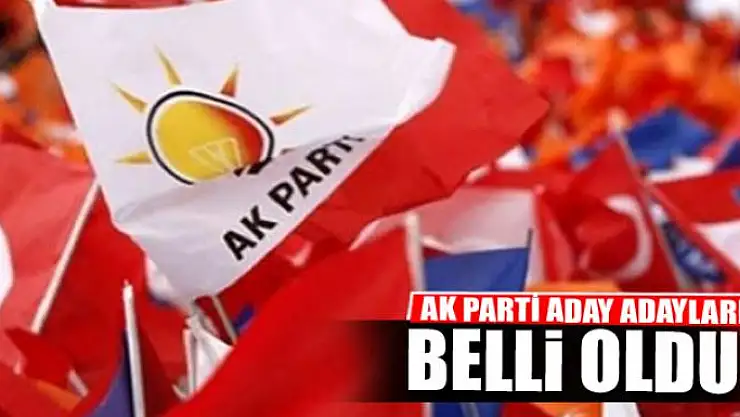 AK Parti'ye Van'dan 127 aday adayı müracaat etti