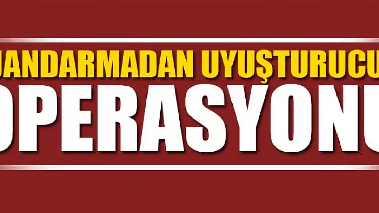 Jandarmadan uyuşturucu tacirlerine operasyon