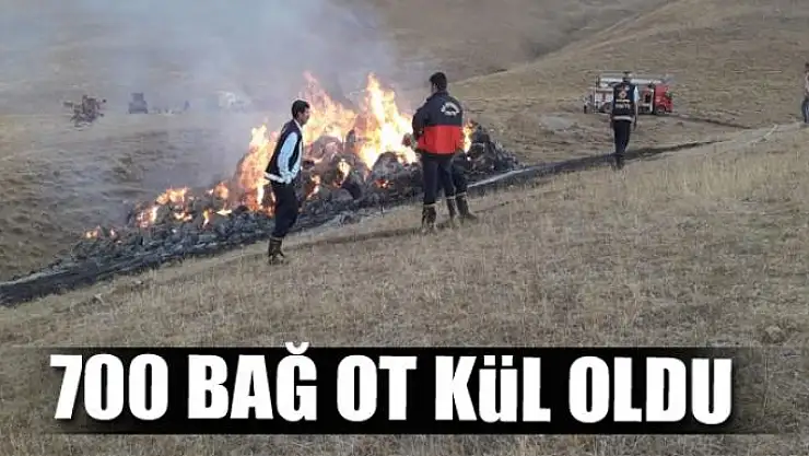 Çatak'ta 700 bağ ot kül oldu