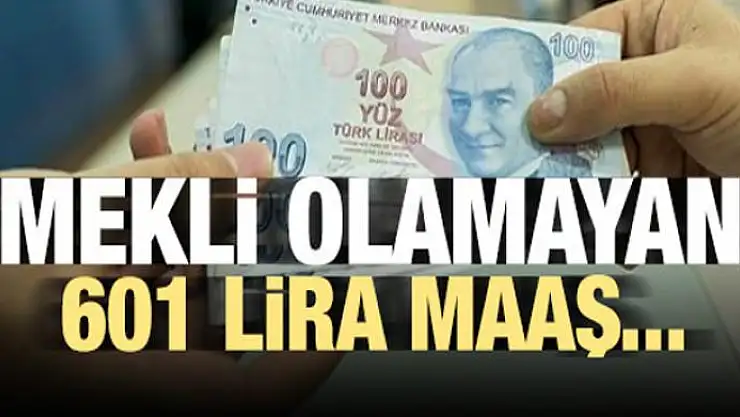 Emekli olamayana 601 lira maaş