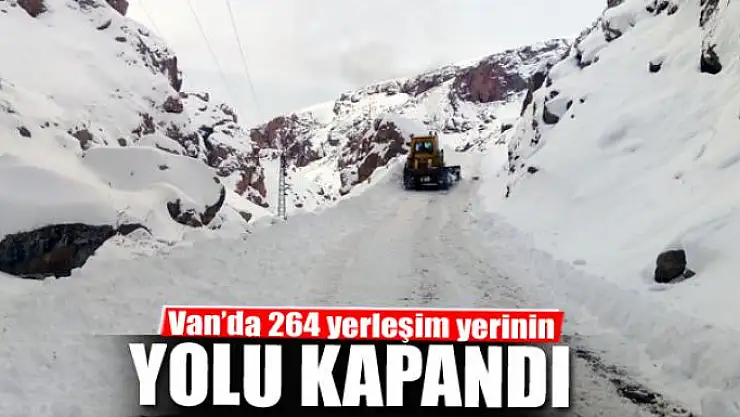 Van'da 264 yerleşim yerinin yolu kapandı