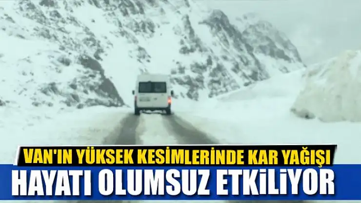 Van'ın yüksek kesimlerinde kar yağışı