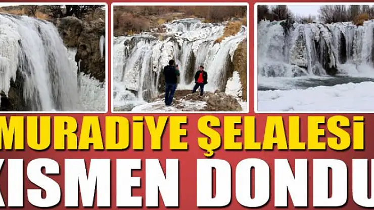 Muradiye Şelalesi kısmen dondu