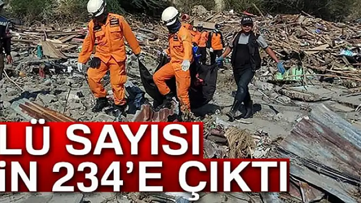 Endonezya'da ölü sayısı bin 234'e çıktı
