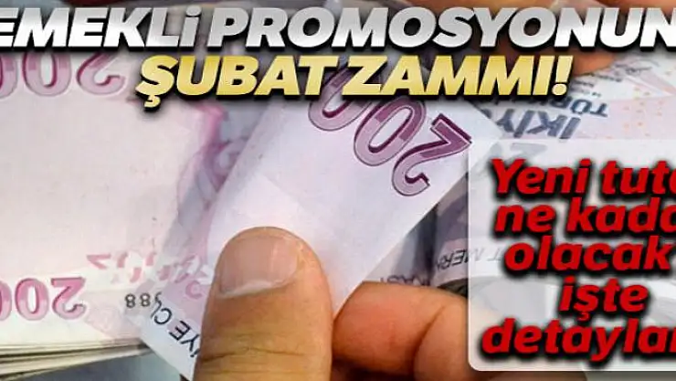 Emeklinin promosyon oranı Şubat'ta belli olacak