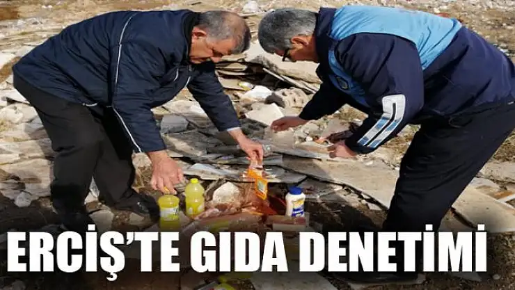 Erciş'te gıda denetimi
