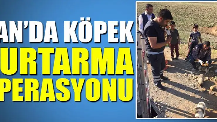Van'da köpek kurtarma operasyonu