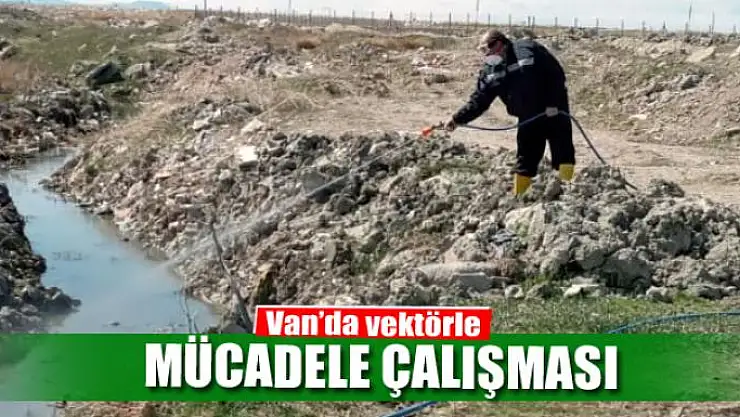 Van'da vektörle mücadele çalışması