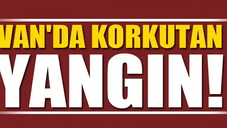 Van'da korkutan yangın