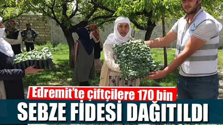 Edremit'te çiftçilere 170 bin sebze fidesi dağıtıldı